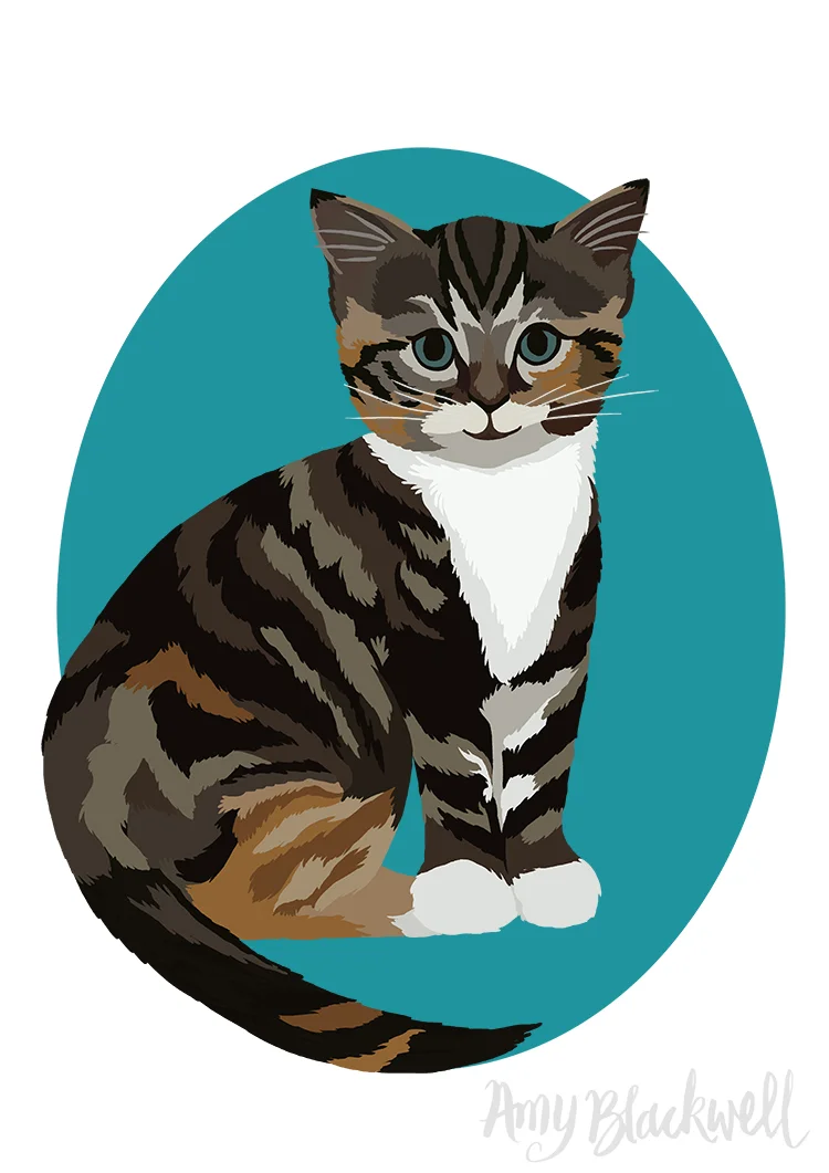 kitten-small-.jpg