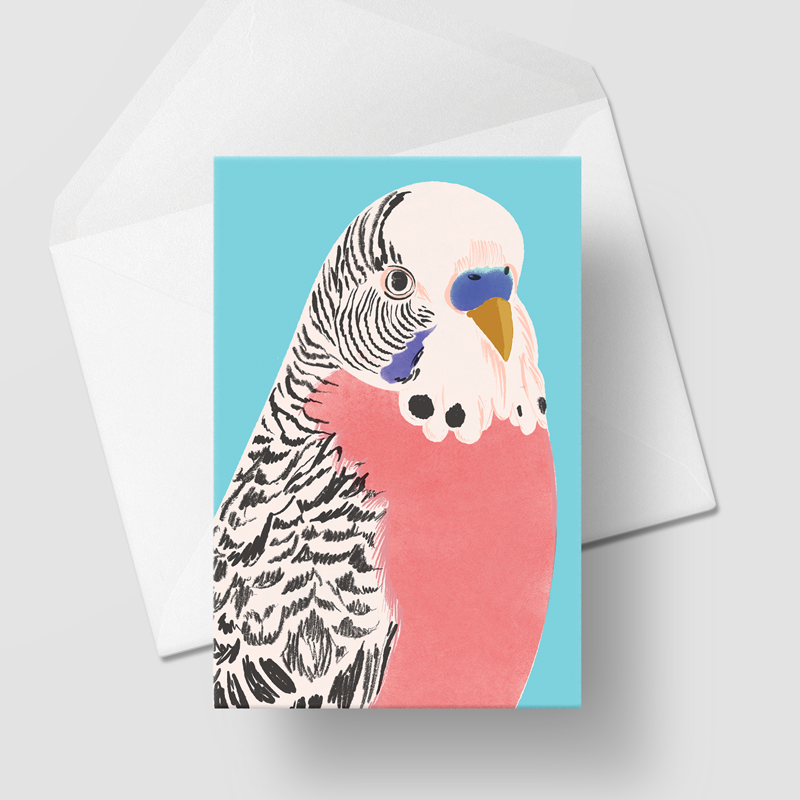 budgie-2-card-mock-up.png
