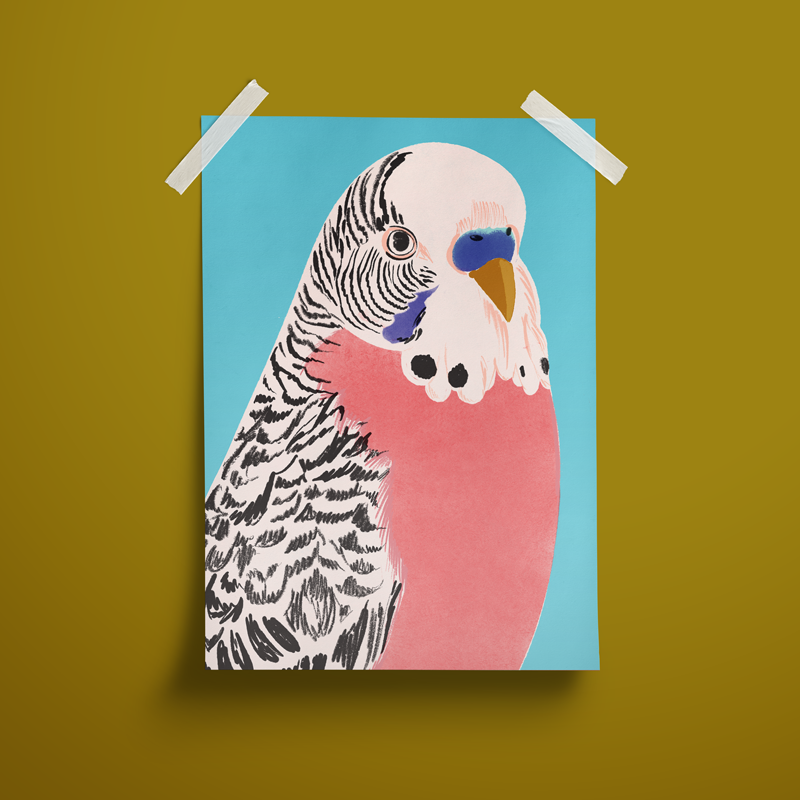 budgie-2-mock-up.png