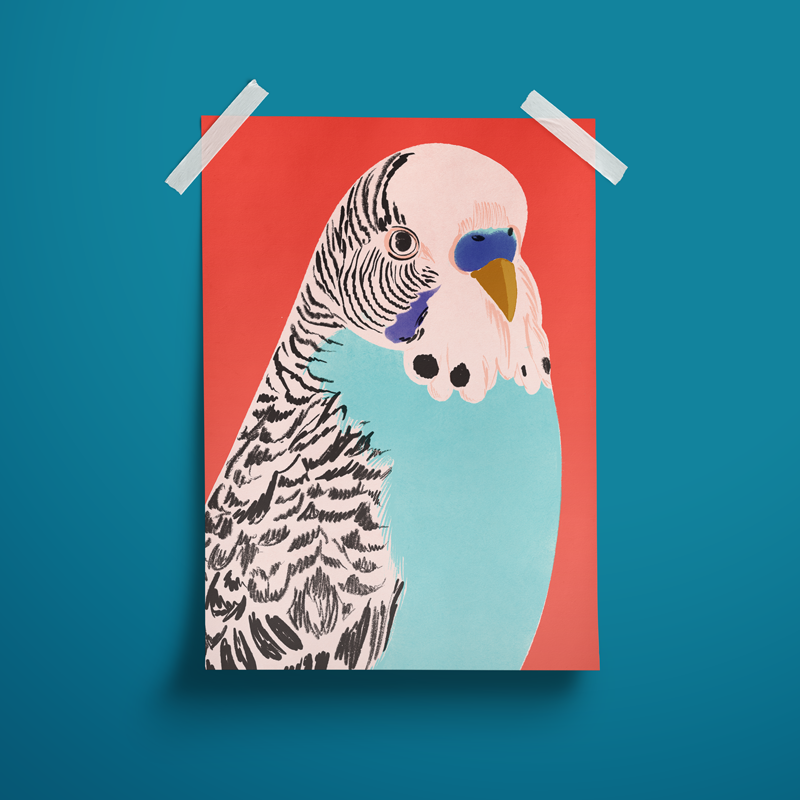 budgie-mock-up.png