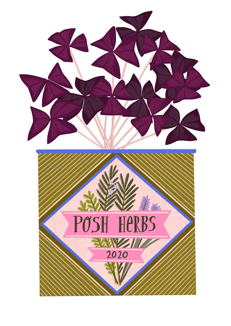 Patreon Print Club / plant 2