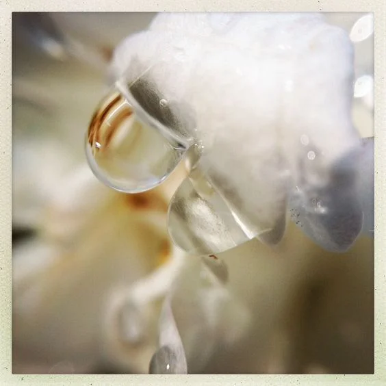 water from a flower.jpg