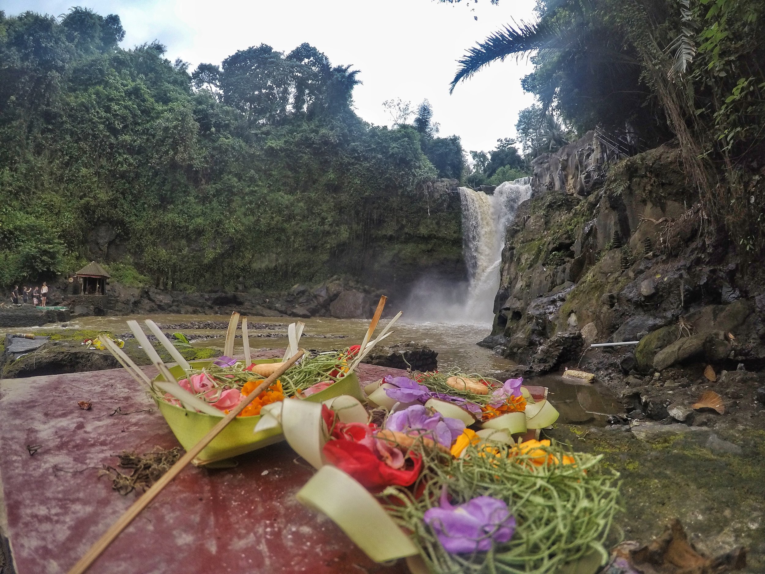 You can find these daily offerings everywhere in Bali!