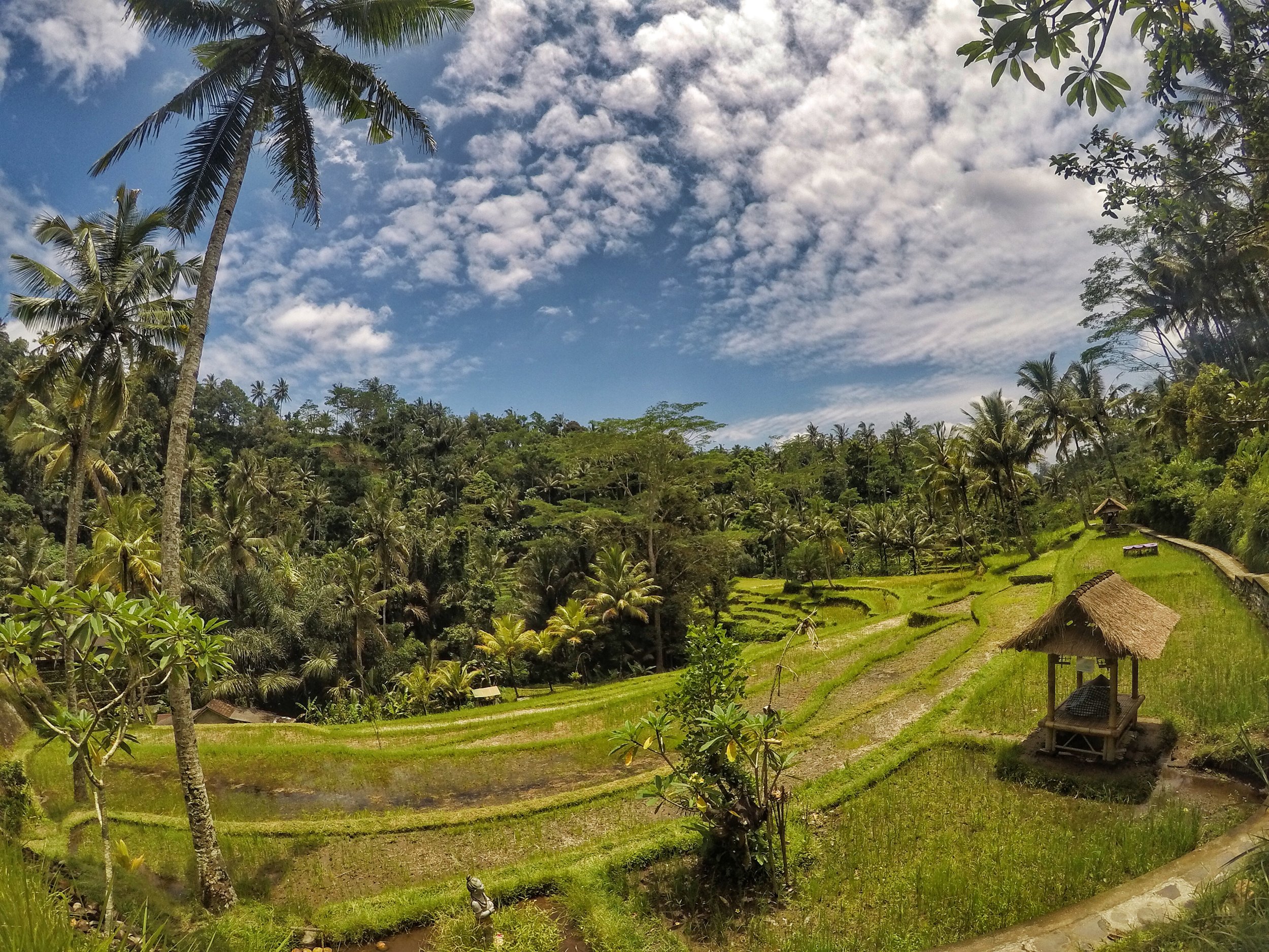Views when talking to Gunung Kawi Temple