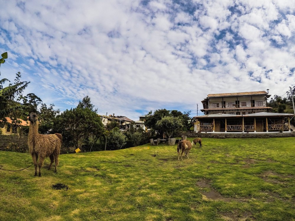  Taita Cristobal Hostel included breakfast and dinner, click image for booking site. 