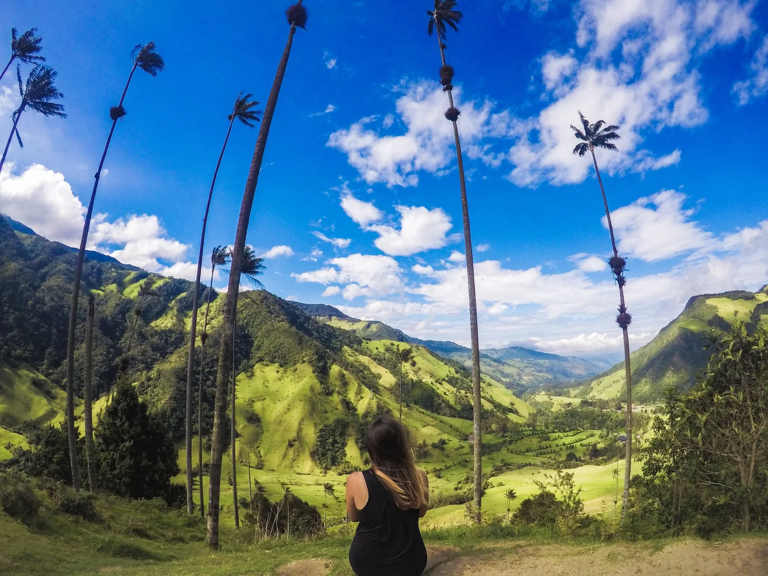 A Day Trip To Cocora Valley From Salento Colombia Ricardo And Lorena