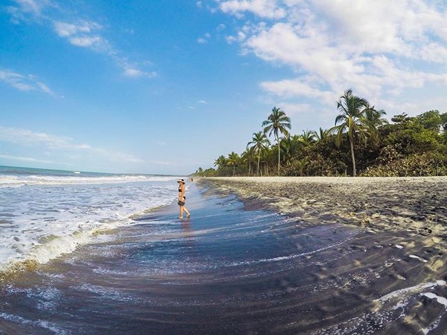 What did we love most about Palomino? The relaxed vibe for sure!. .
.
.
Walk down to the beach, bring a book and find yourself a nice cool shade under a palm tree! Just make sure to look out for the coconuts, they say there are an average of 5 shark 