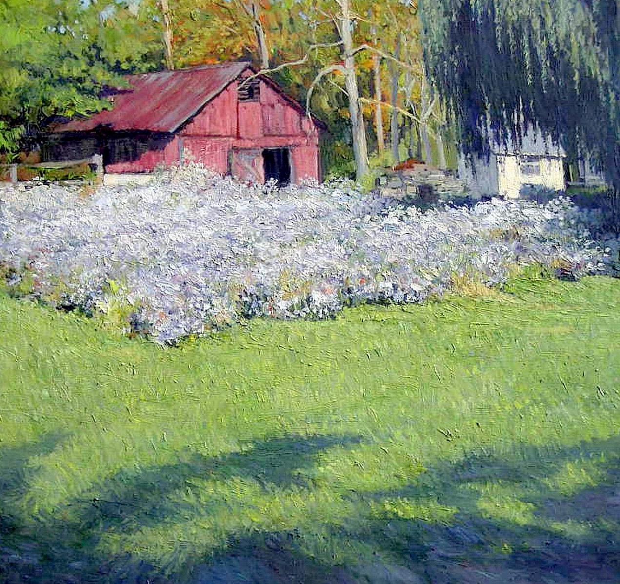 Asters
