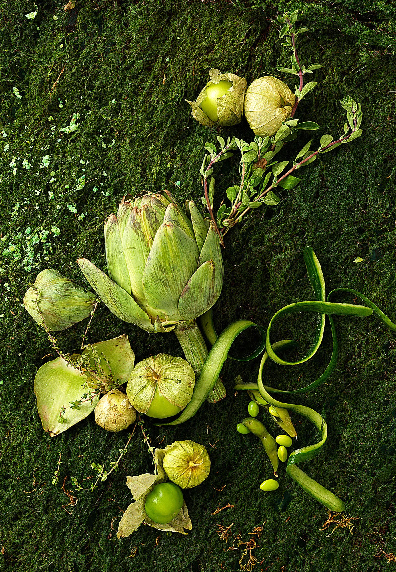 green_1435.jpg