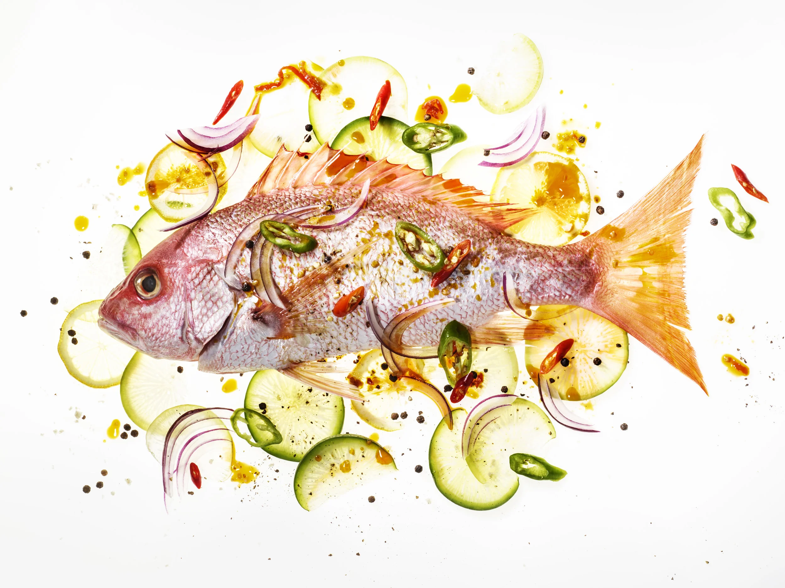 snapper2.jpg