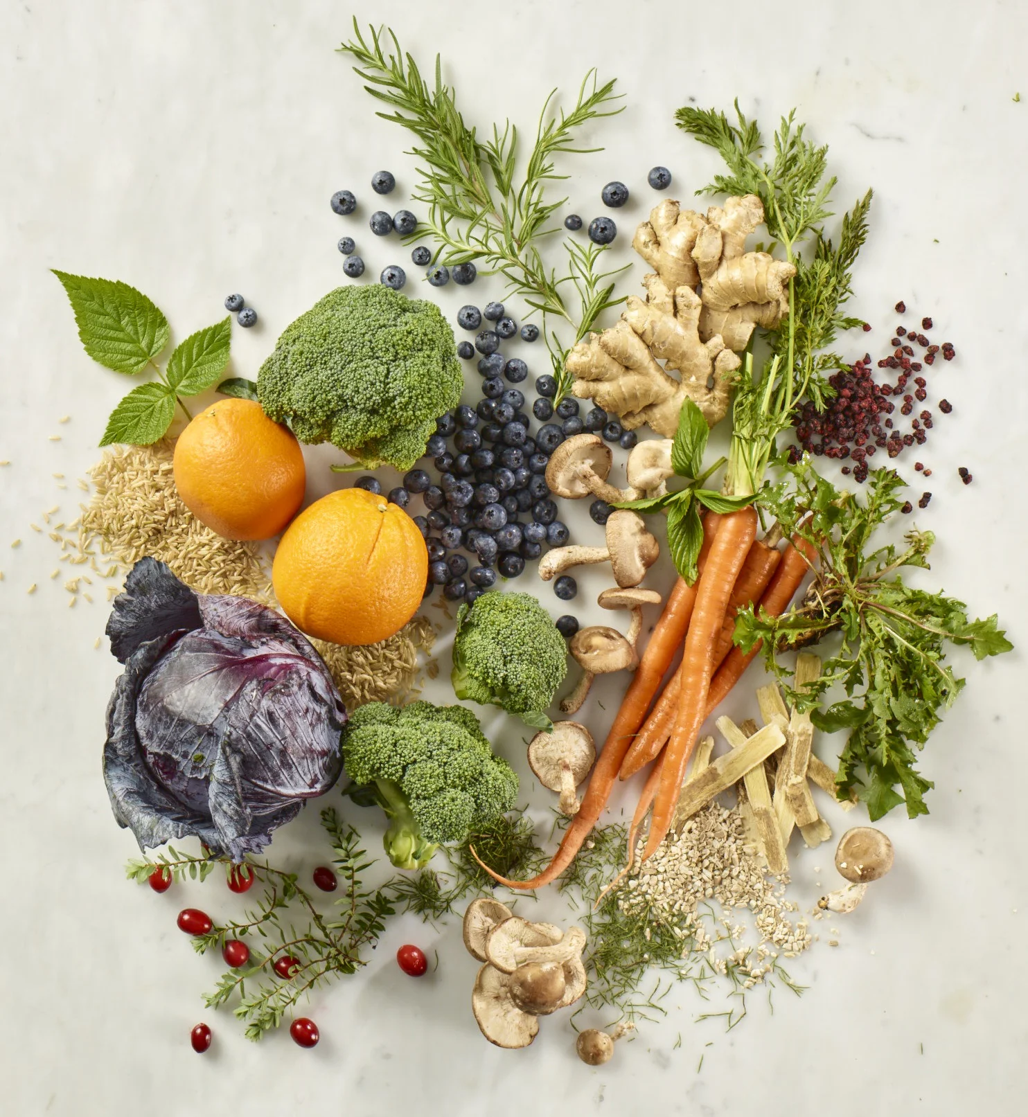 PROJECT - Megafood 2.jpg