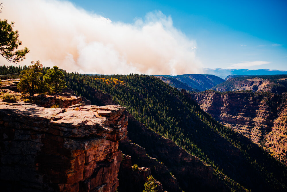 A large prescribed burn taking place above Red Canyon on the Ashley National Forest.