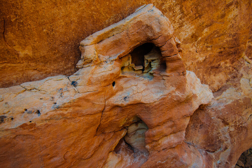 Found this little rock sculpture in the depths of Hog Canyon, looked like a tiny village chiseled into the rock.