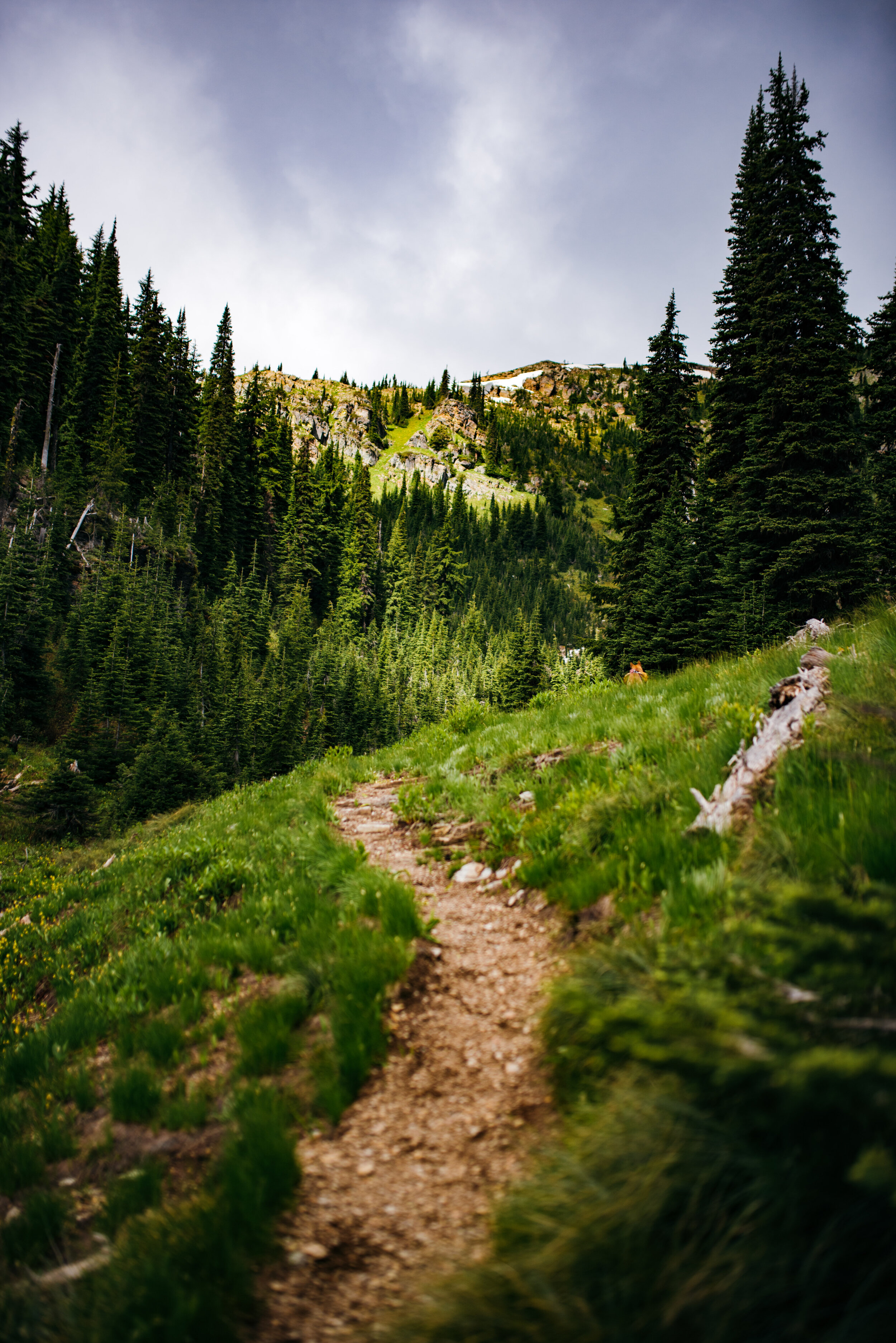 “Almost there!” - Says every hiker during literally any part of the hike