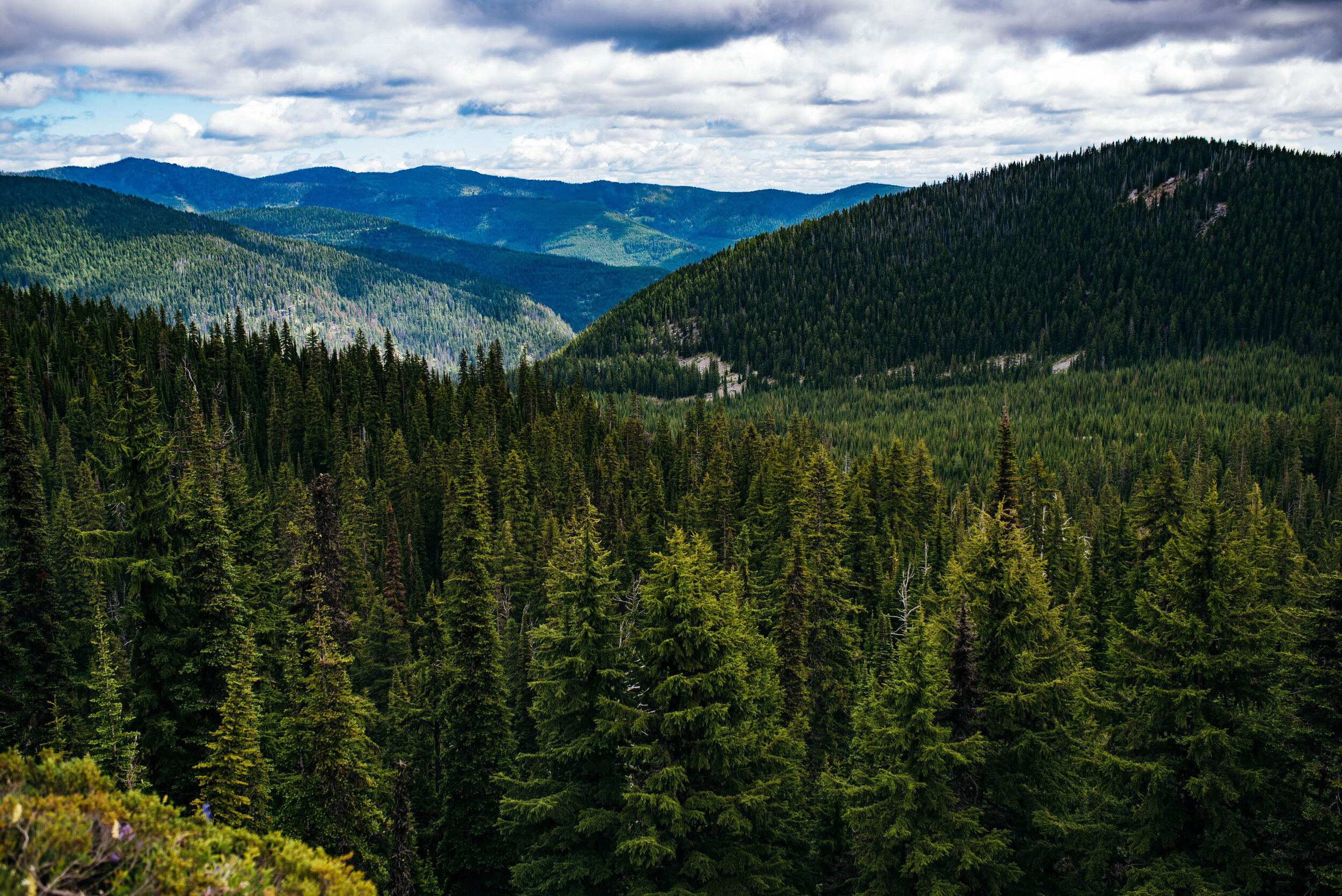  Where the light hits the bottom of the valley, that’s where we hiked up from. 