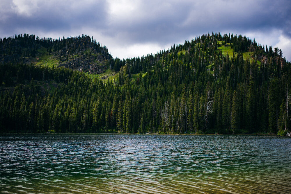  Absolutely beautiful view up here on this lake! Peep them dreamy greens &amp; blues. 