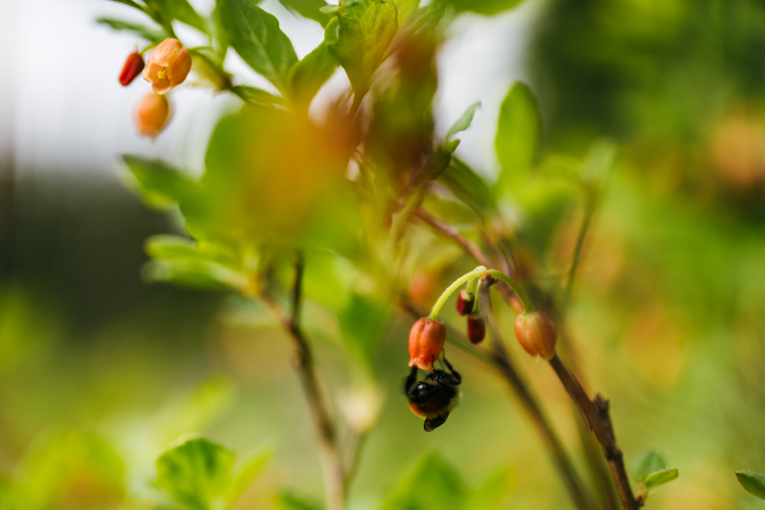  And here’s a cute lil bee butt. This is what we’d call content you didn’t even know you needed in your life. 