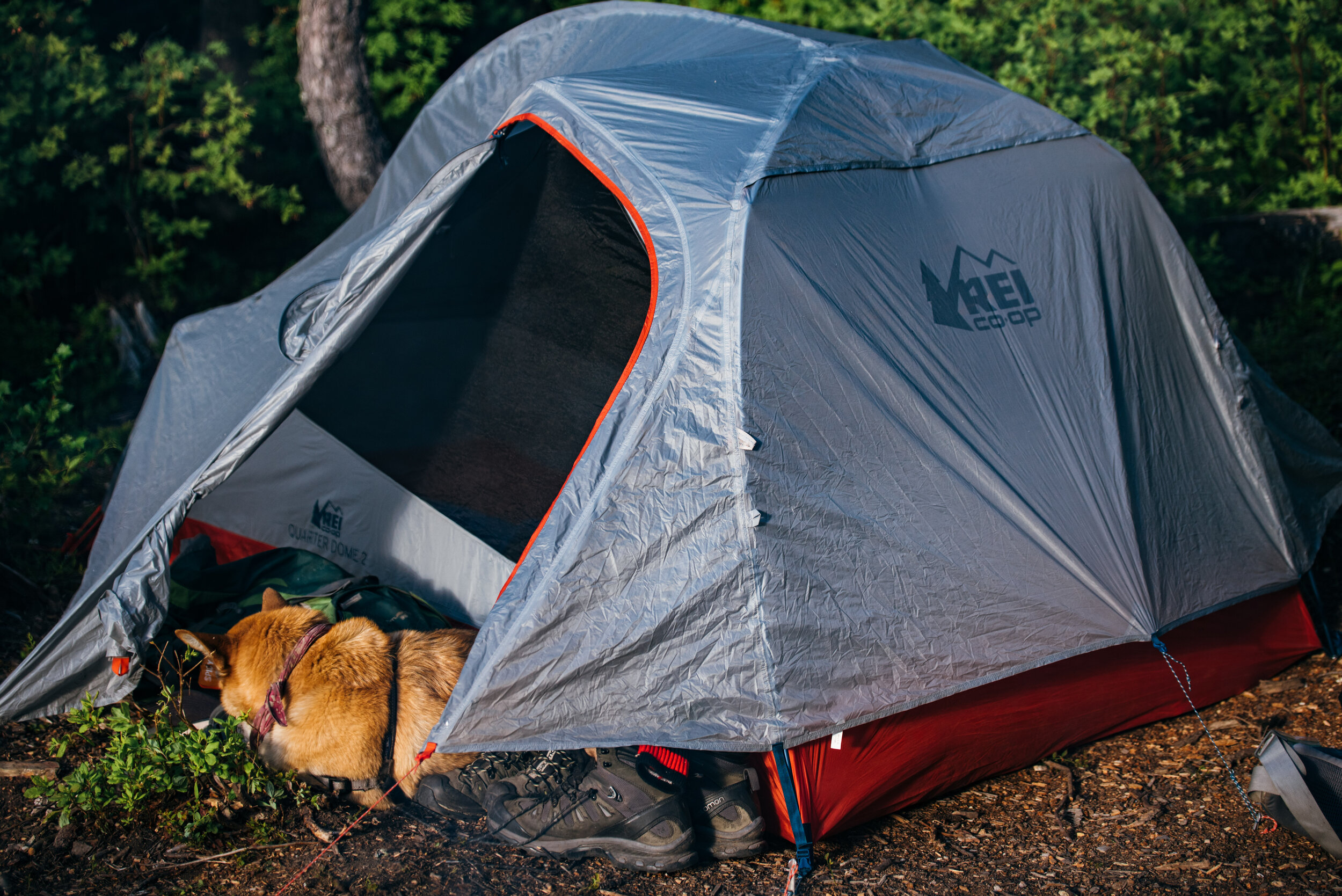 Like I said, Lisa really really reaaaaallyyyy wanted to be IN the tent.