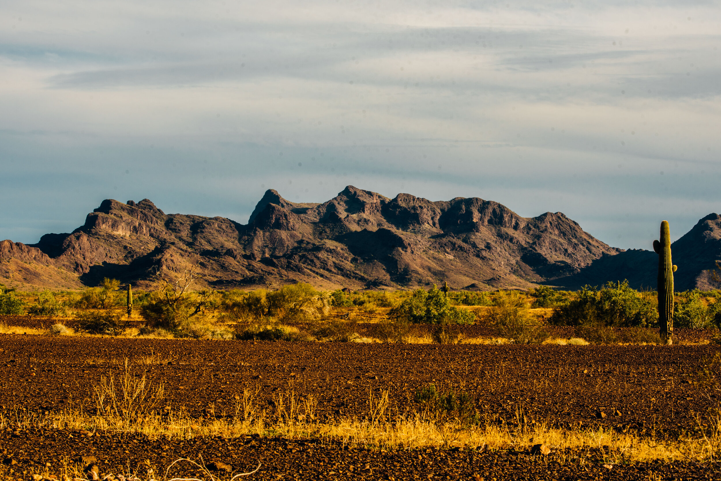  The mountains off in the distance in Quartzsite are so picturesque. 