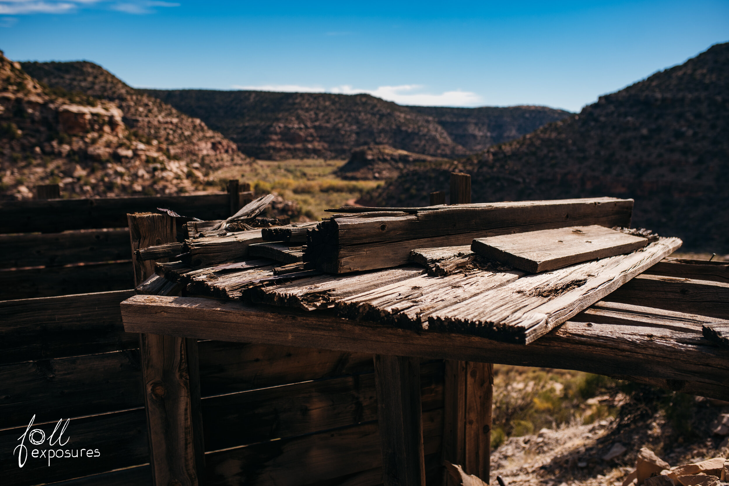 Old wood always has the best look & texture.