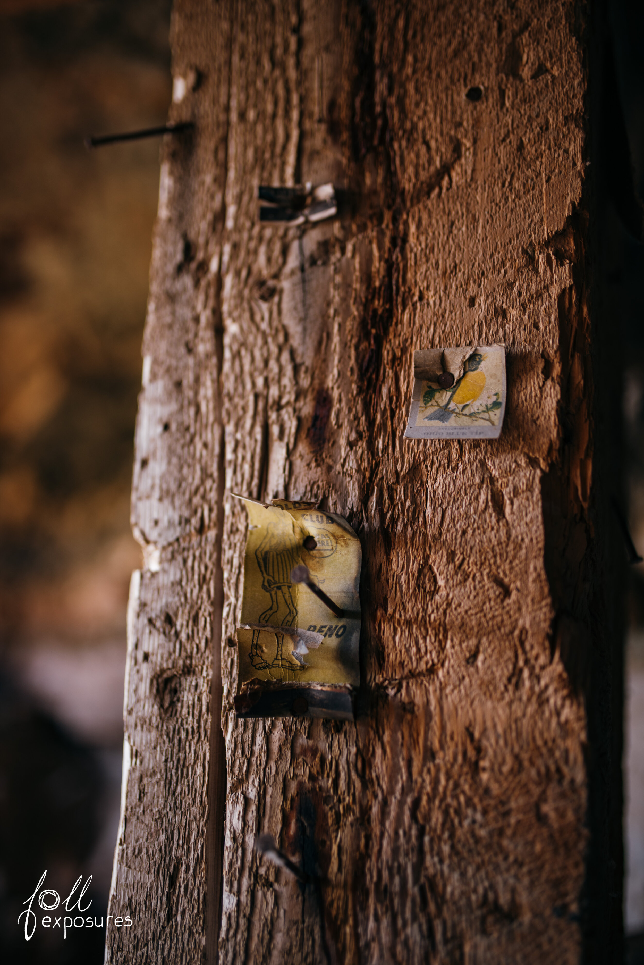 I love finding little elements in tough places, such as mines, that remind me of the personal aspect. Real humans lived & worked here. And loved little trinkets & pictures of pretty birds.