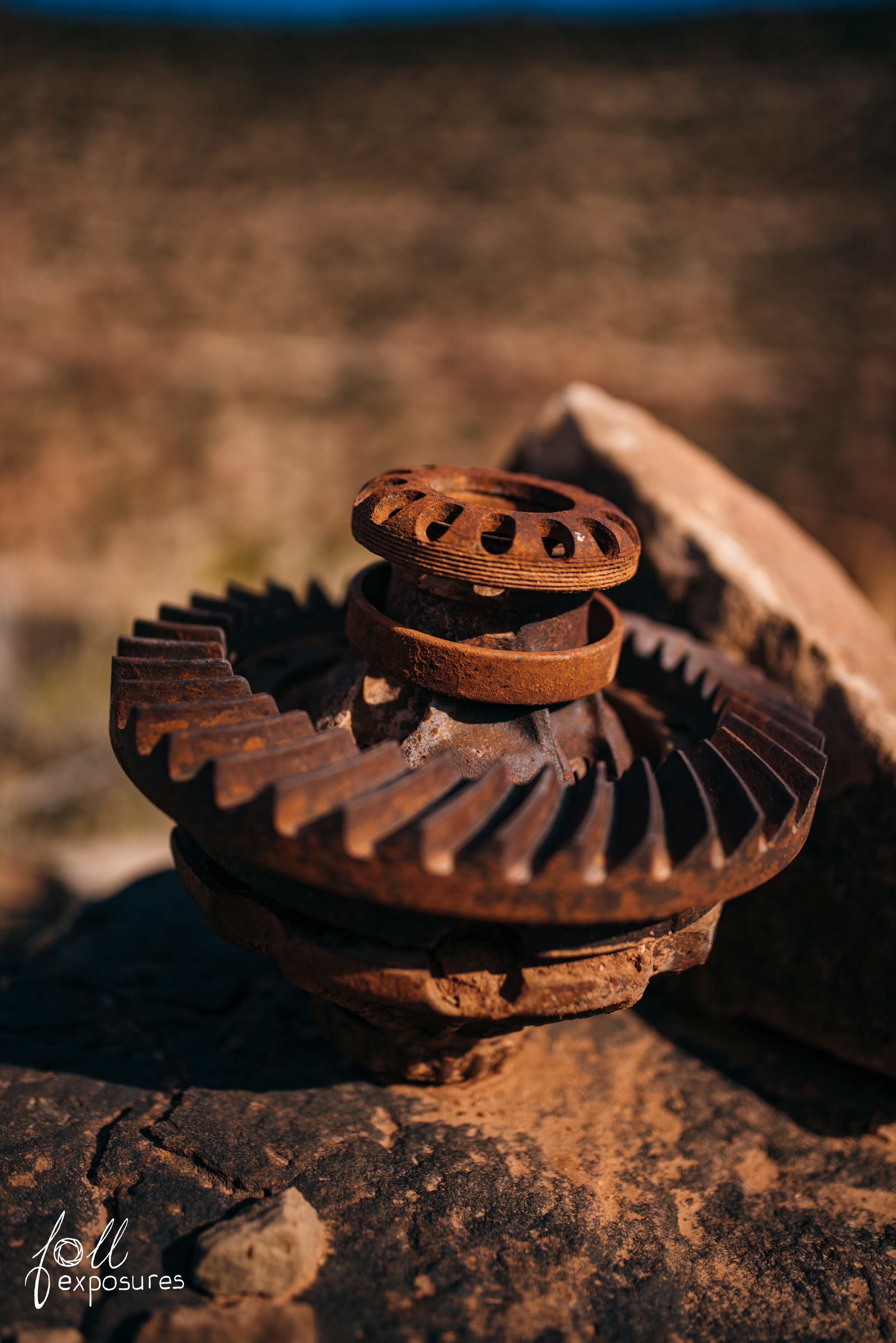  Some sort of gearing mechanism. No speculations as to what it may have been. 