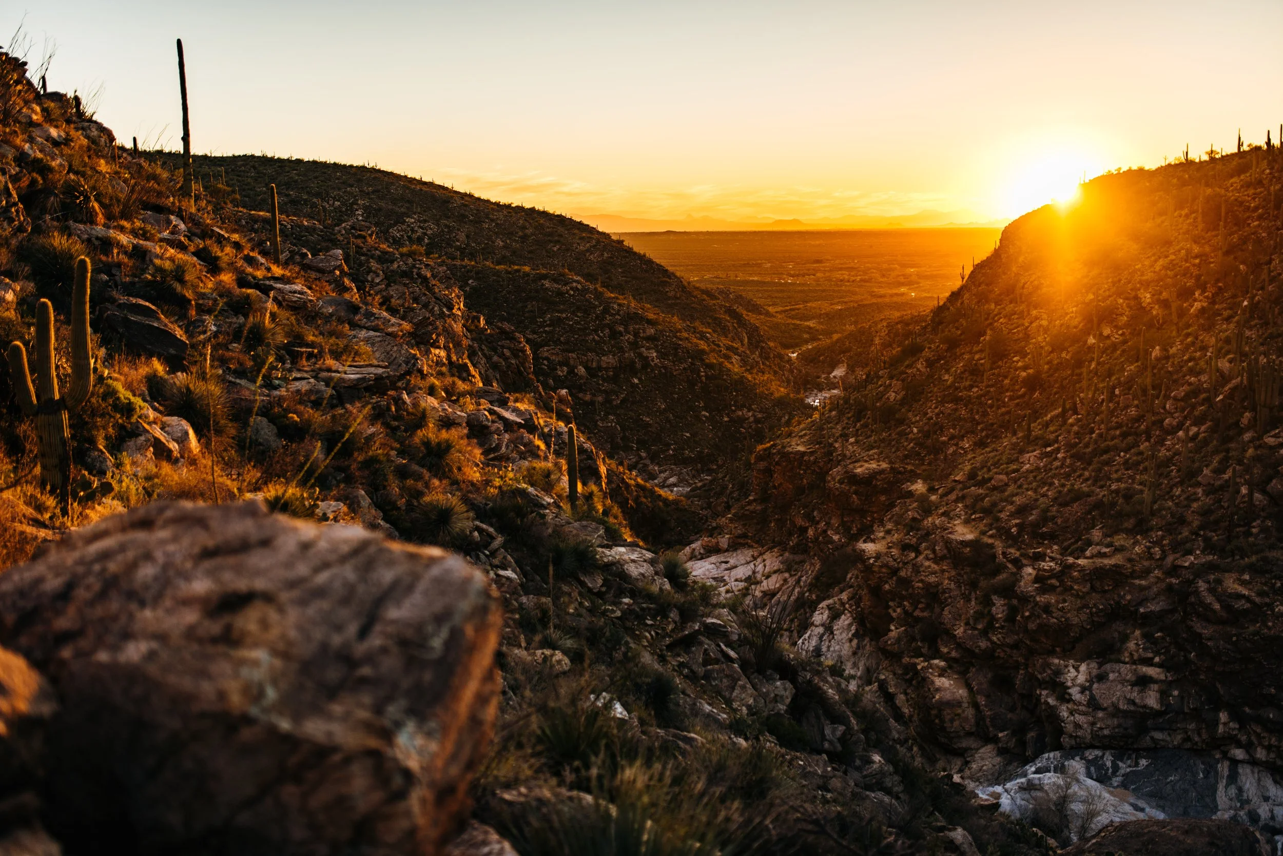 Sunset over a desert canyon with rocky hills and tall cacti.
