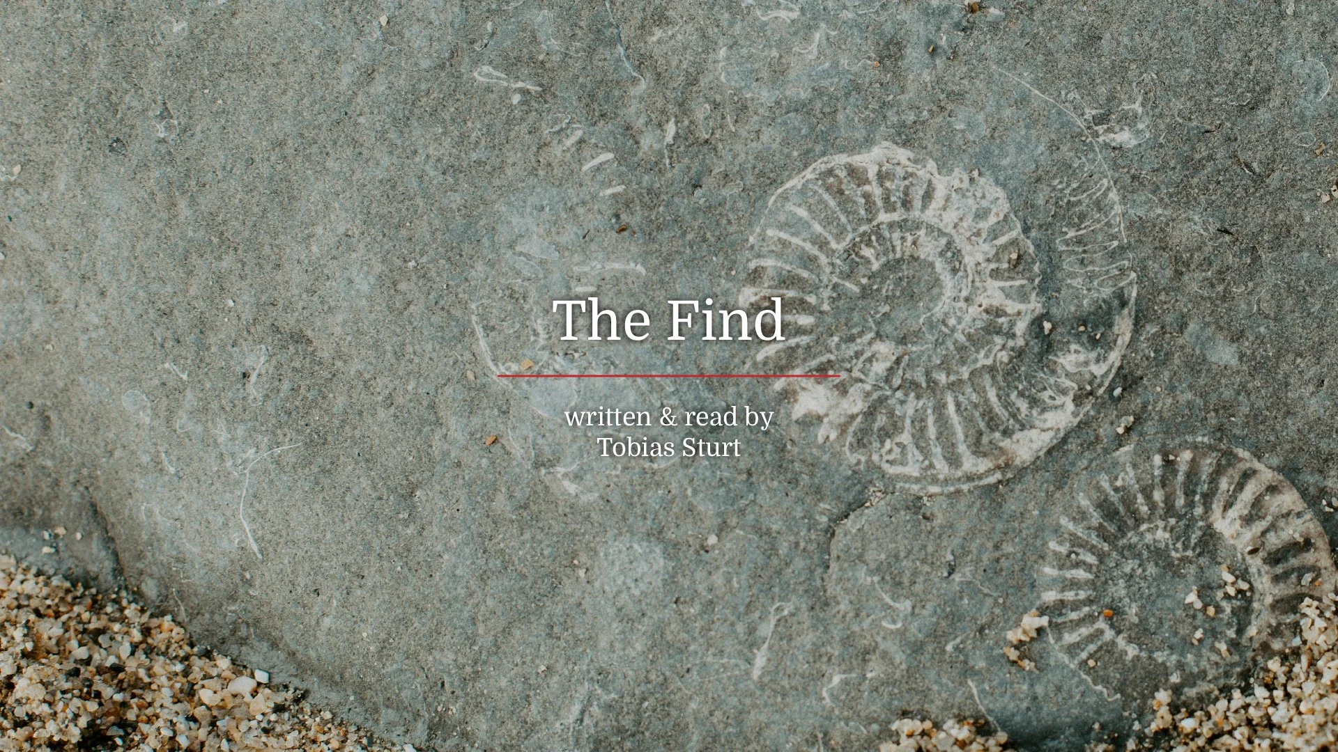 The Find