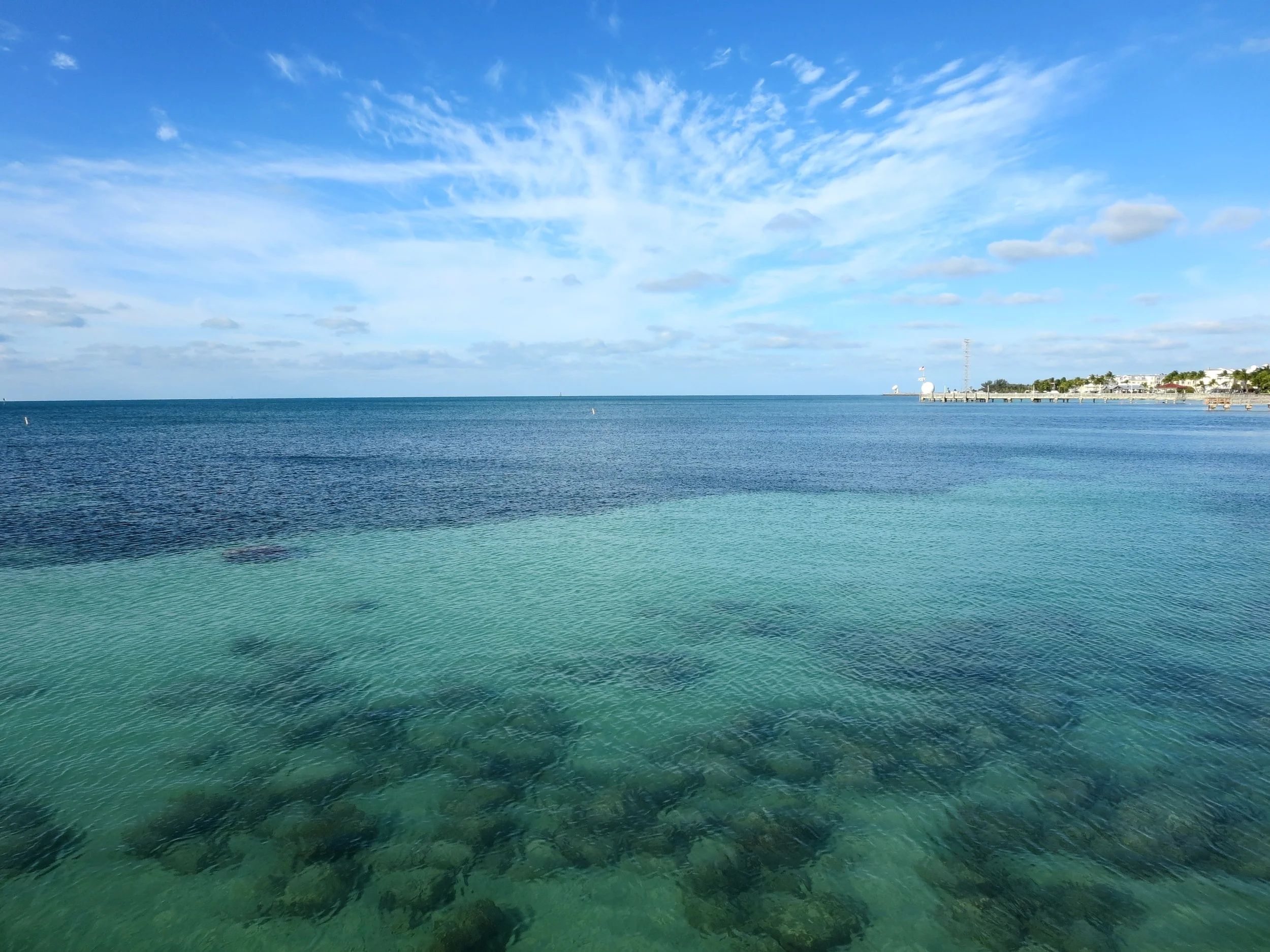La Brisa Smathers Beach Ocean