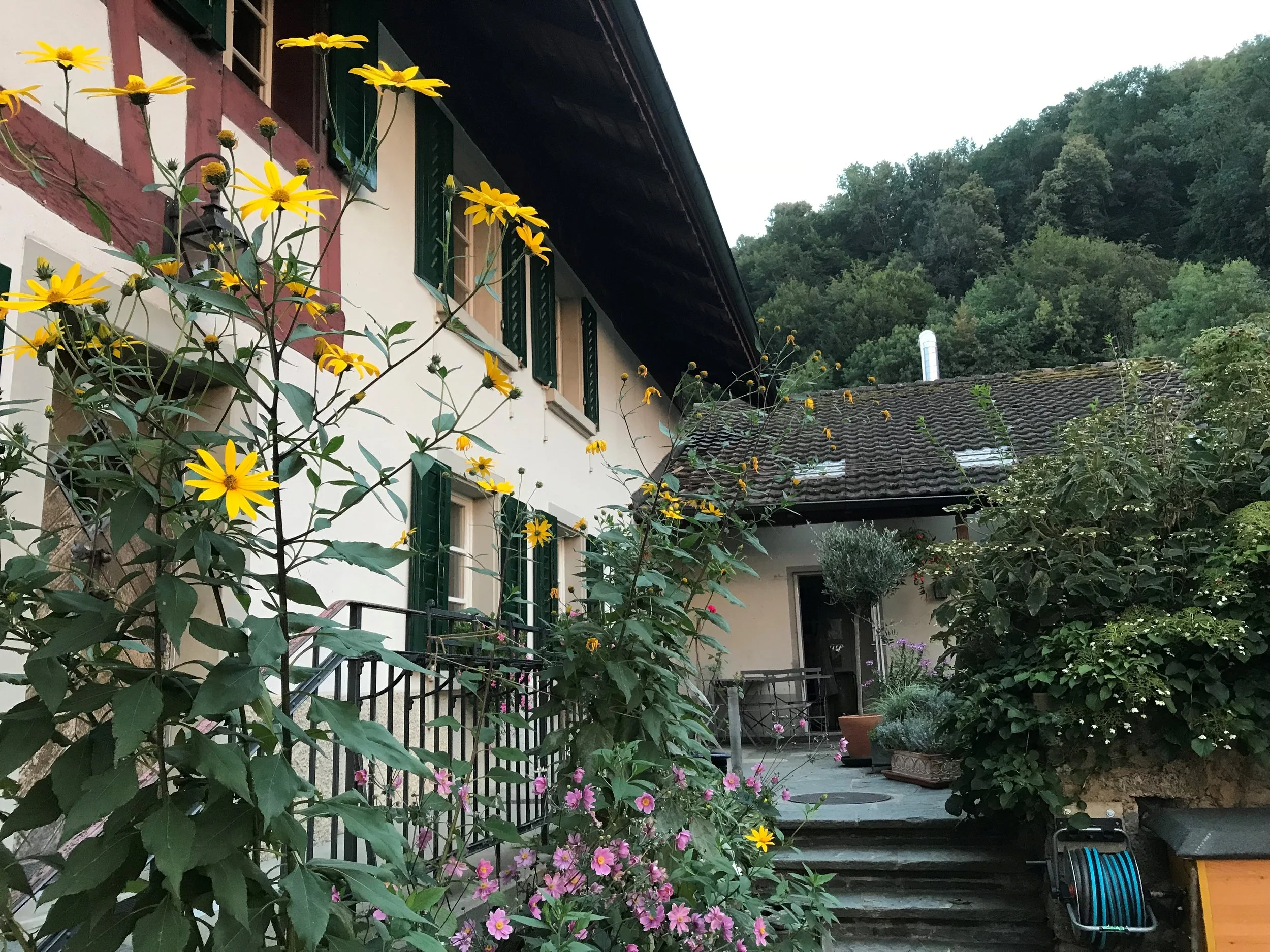 Ziegelhütte Seiteneingang.jpg