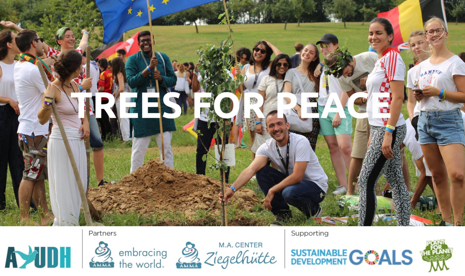 Banner1_SocialMedia trees4peace mit Partners.png