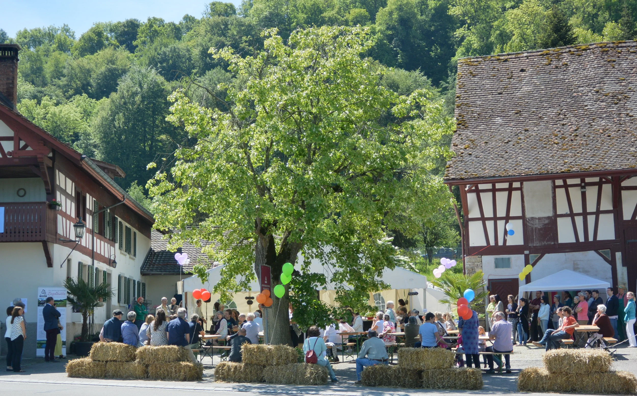 JUBILÄUMSFEST SAMSTAG, 7. SEPTEMBER 2019 -  EIN KULTURELLES UND KULINARISCHES HIGHLIGHT