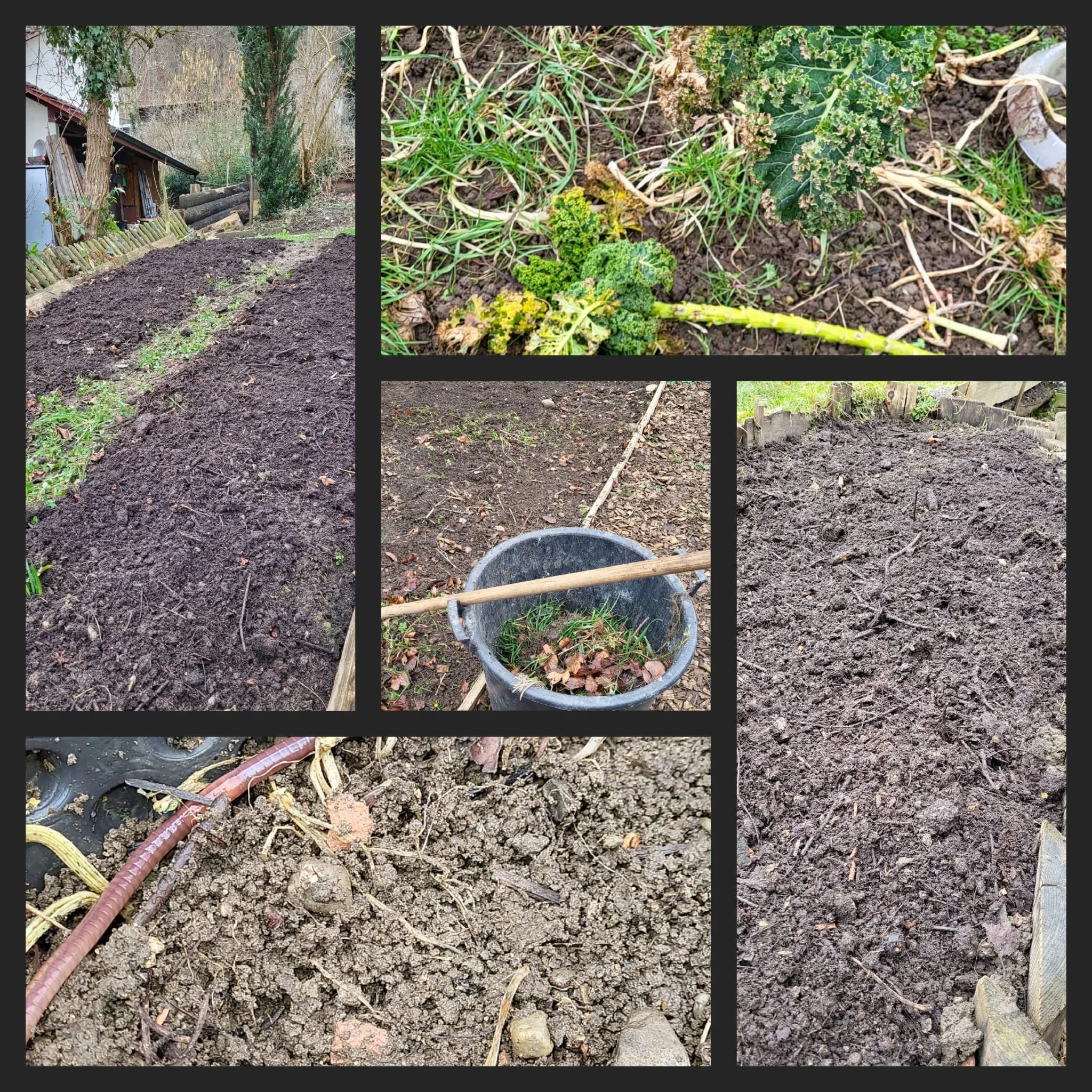 Der erste Karma Yoga Tag am 25.2.2023