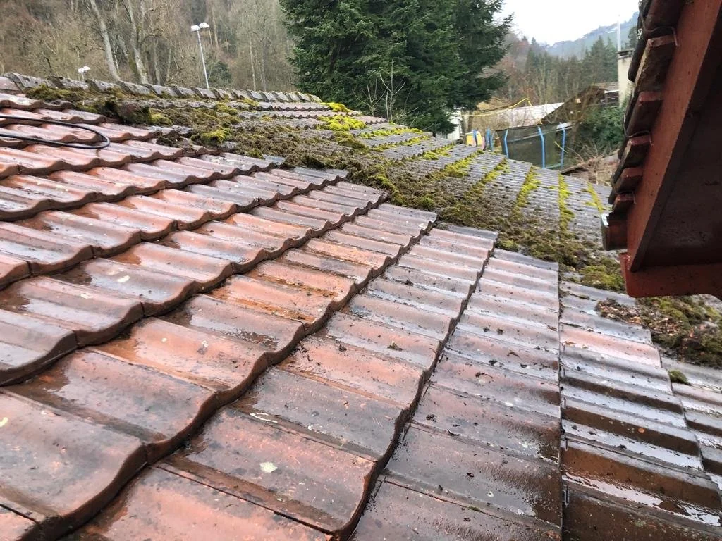 Frühlingsputz draussen