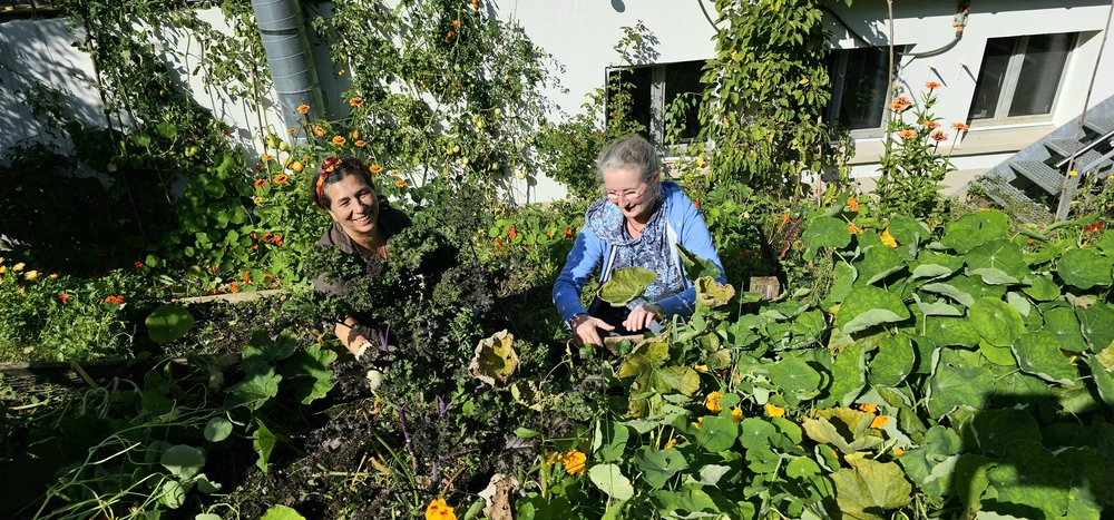 Eintauchen in die Üppigkeit des Herbstes