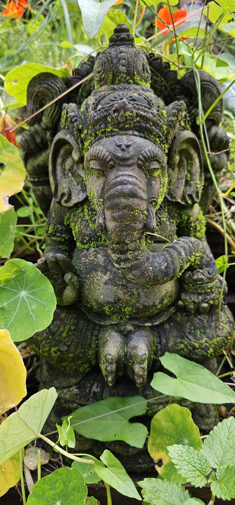 Ganesha im Kapuzinerkresse-Gewand