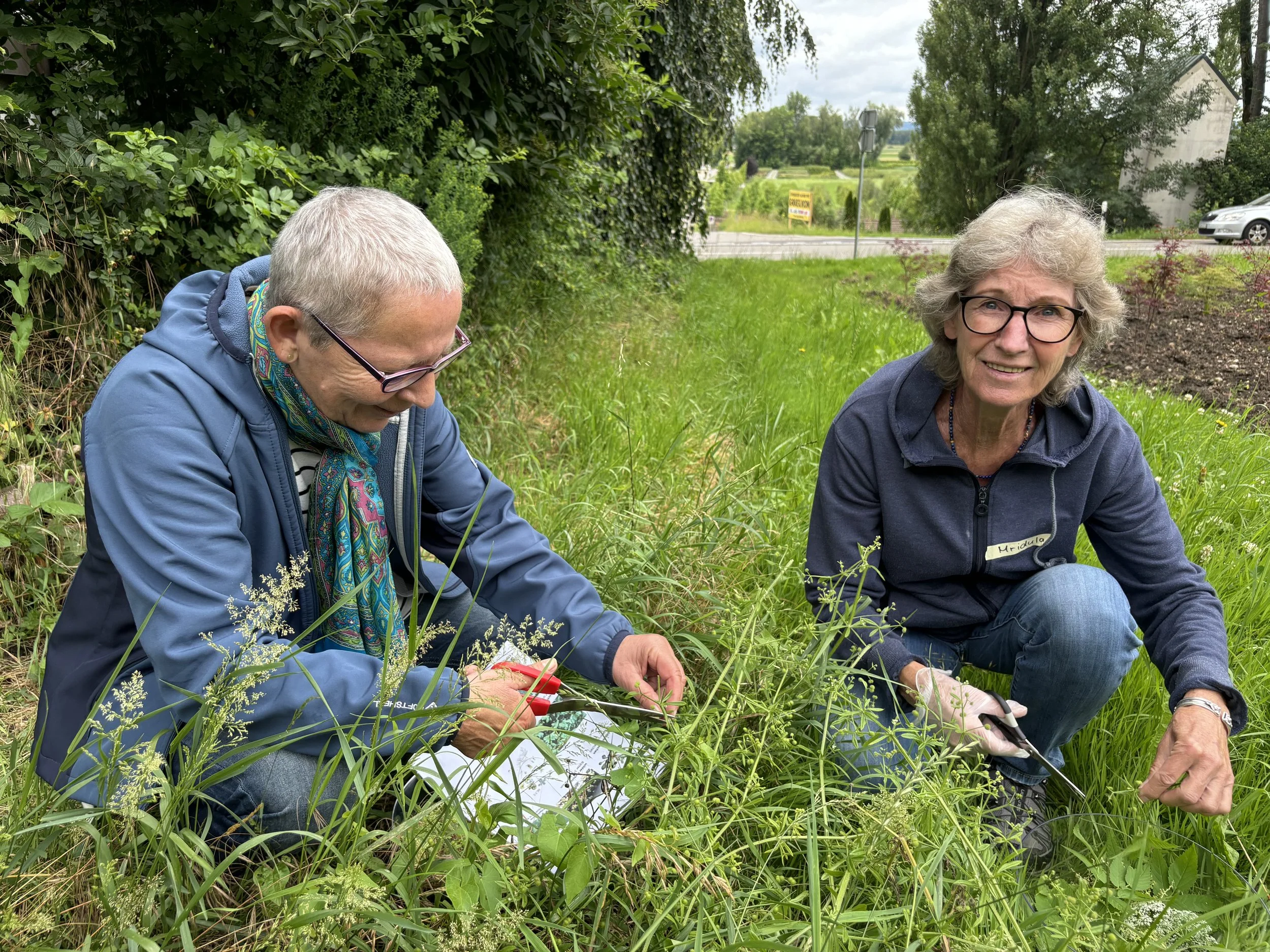 Rückblick: Essbare Wildpflanzen - Workshop und Exkursion