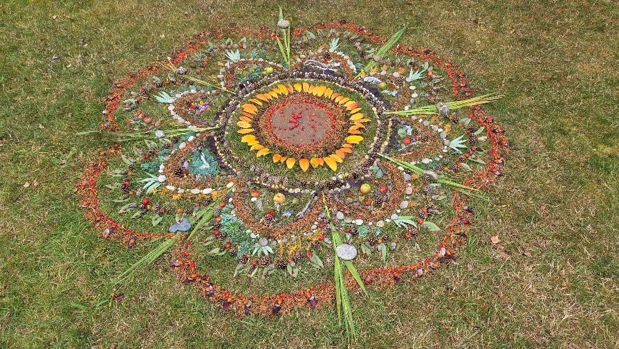 Meditieren in der Natur - Tagesretreat