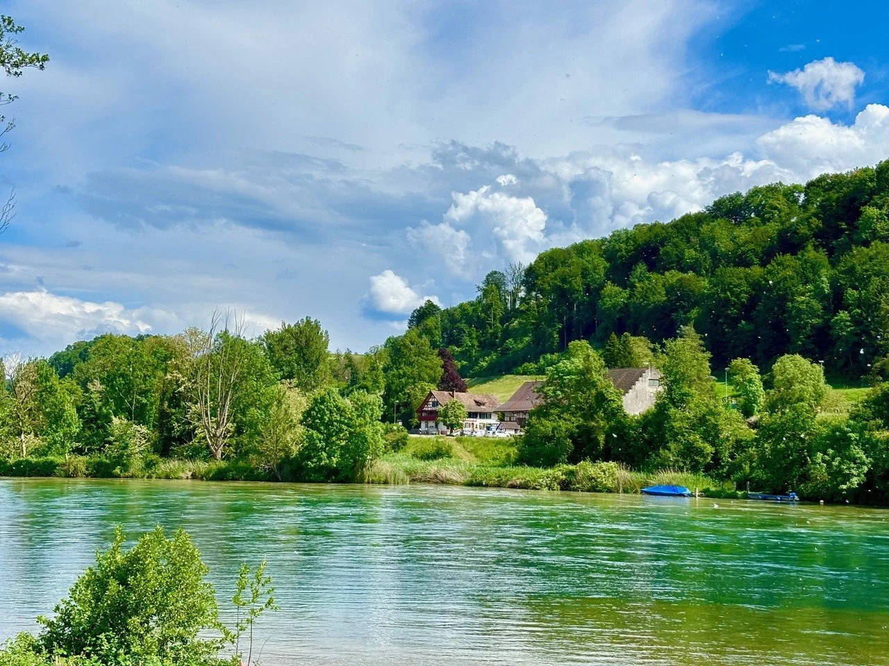 Auszeit-Woche: Yoga, Meditation und Natur am Rhein - Vorankündigung