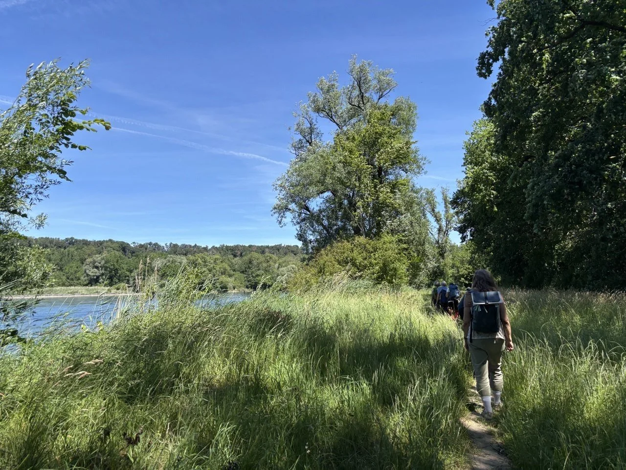 Wandern am Rhein entlang