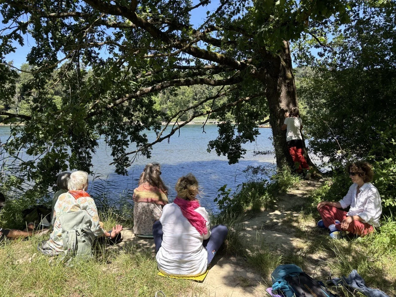 Rückblick: "Meditieren in der Natur"