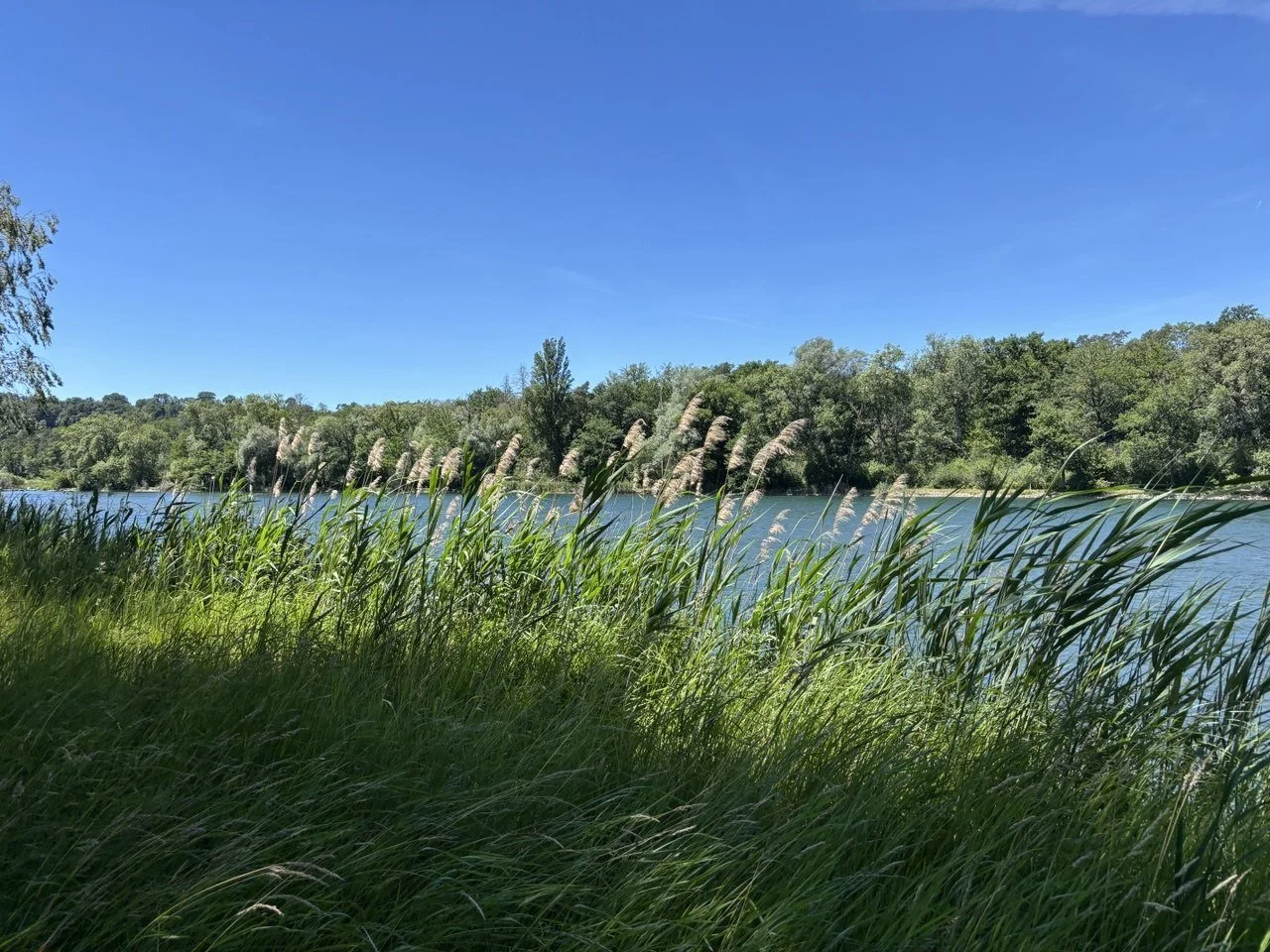 Naturparadies vor der Haustür
