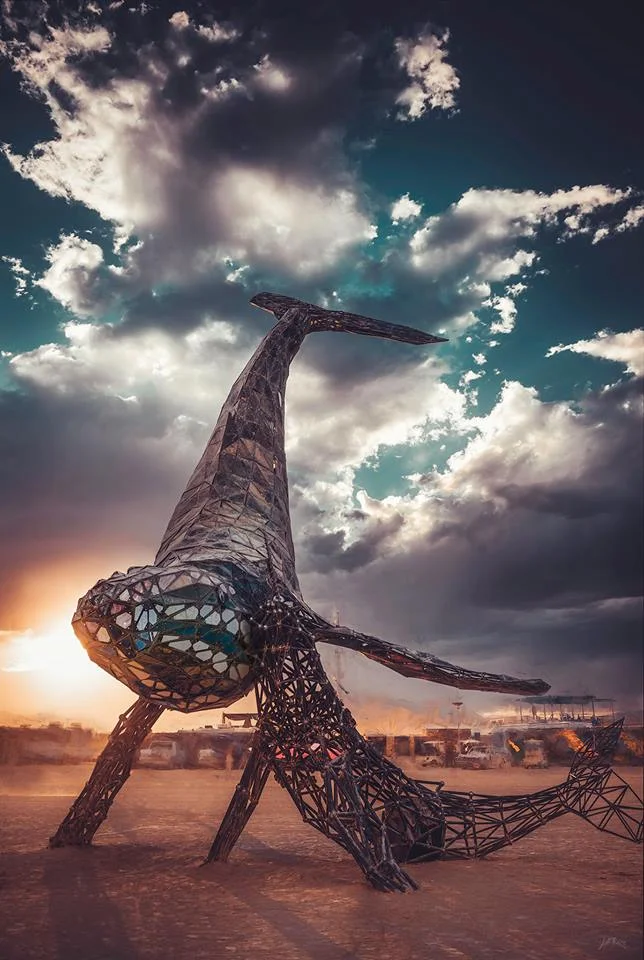 space-whale-02.jpg