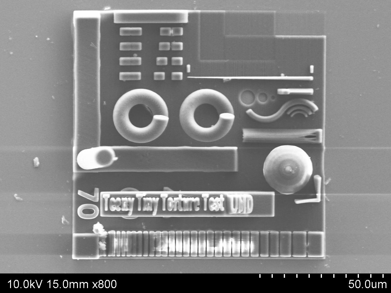 SEM image of the TeenyTinyTortureTest. Seriously though, this thing is REALLY SMALL.