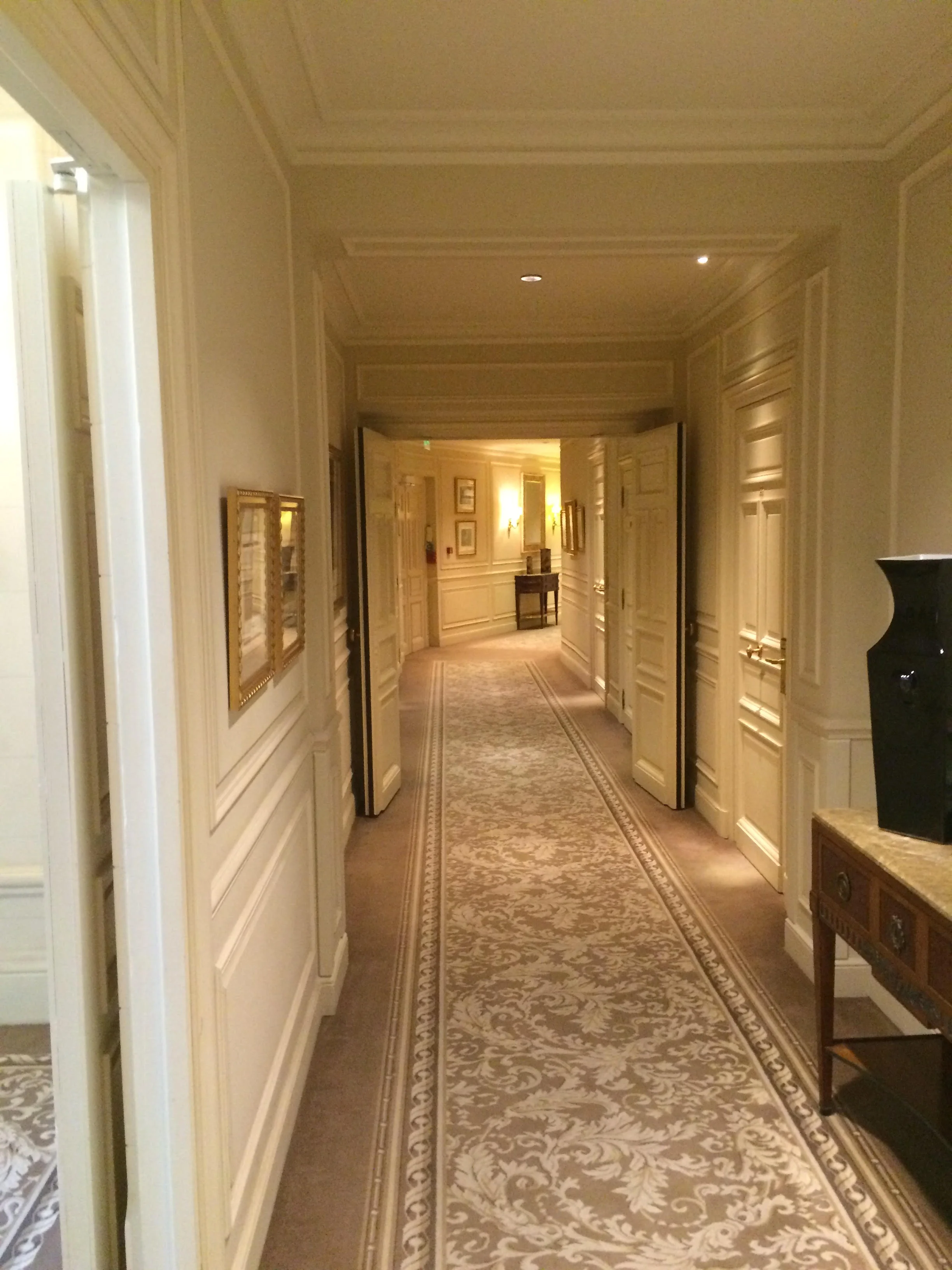 Hermitage Monaco 4.jpg