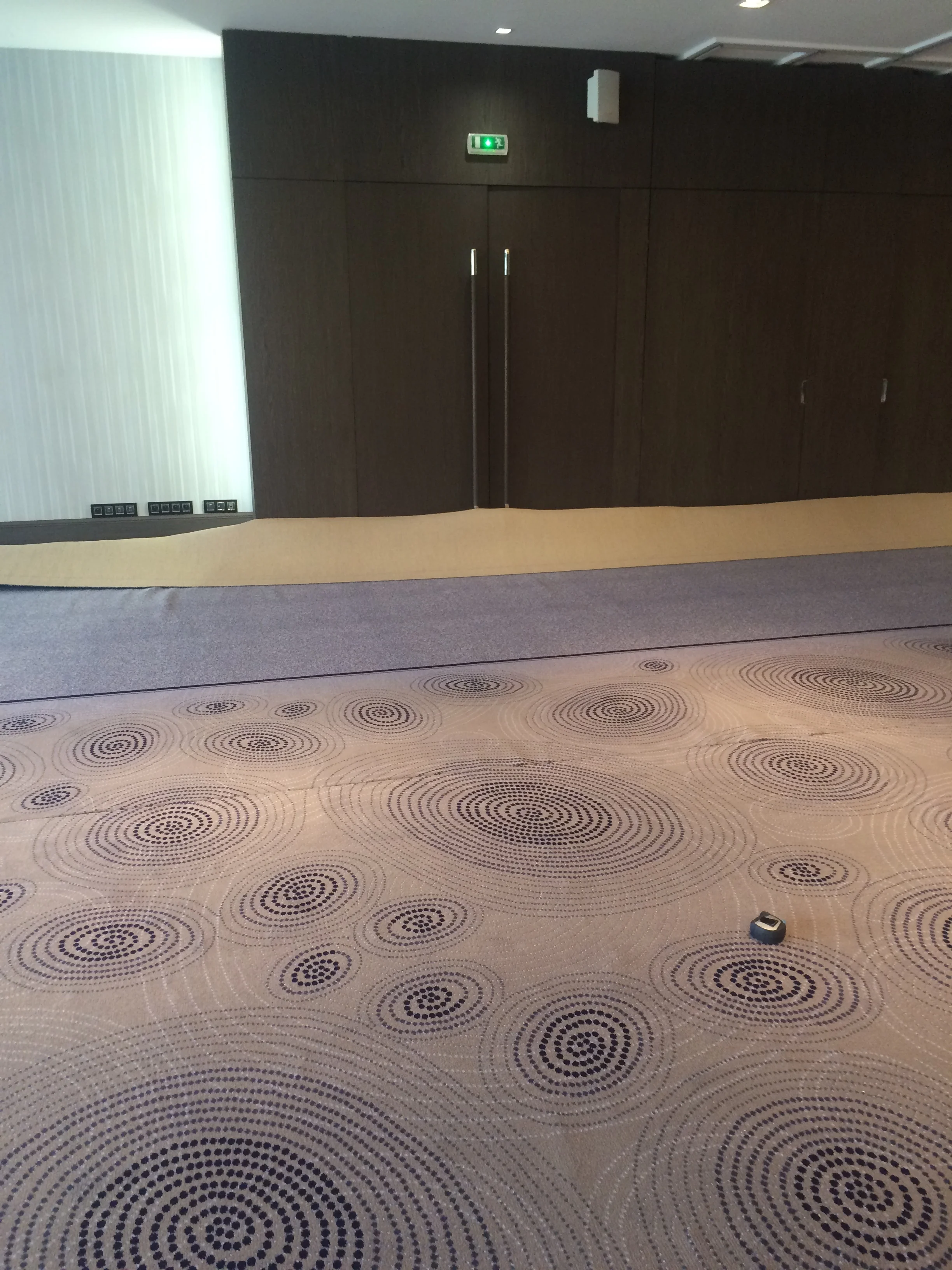 Intercontinental hotel dieu marseille 003.JPG