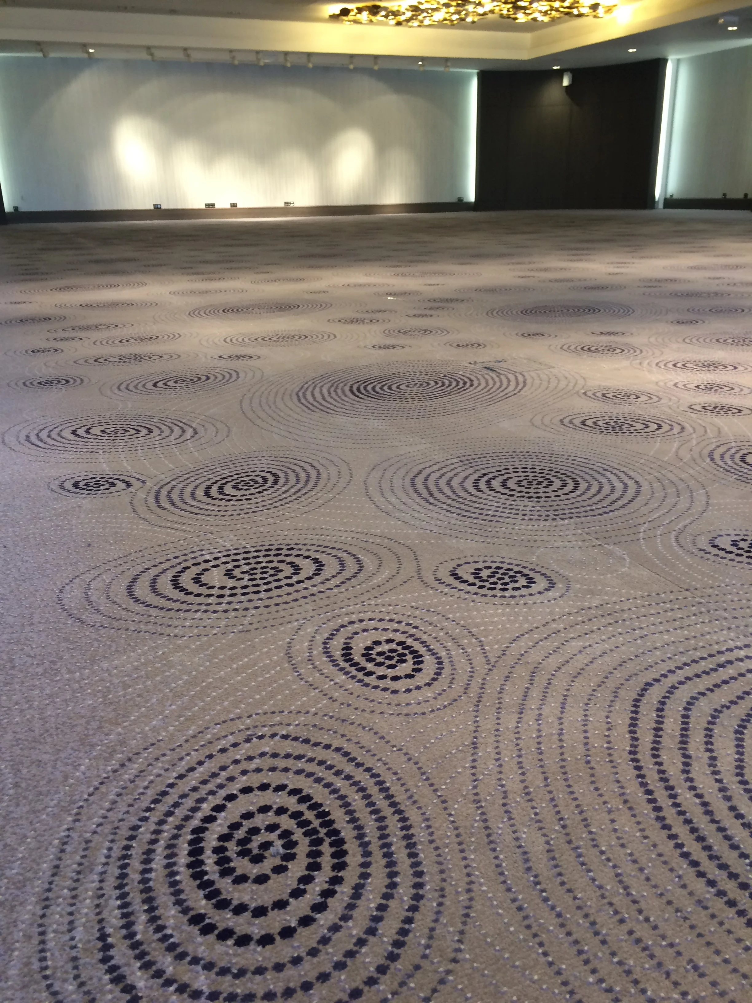 Intercontinental hotel dieu marseille 3.JPG