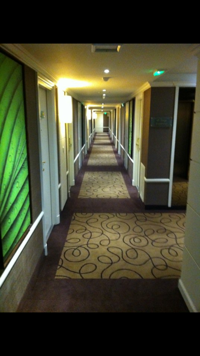 hotel pullman montpellier2.PNG