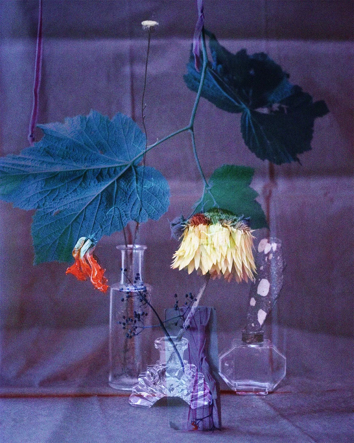 still life 1