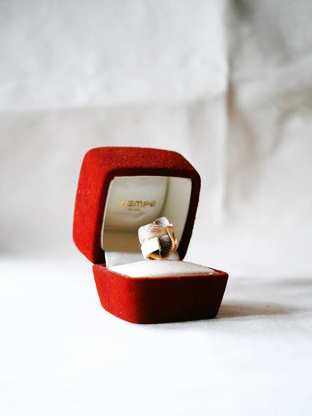 ring2.jpg